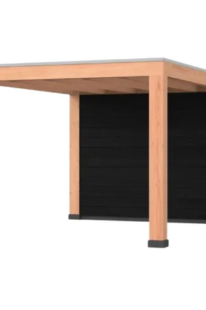 Douglas overkapping, 300 x 400, met achterwand, Westwood Robuust Zwart Bestel Nu